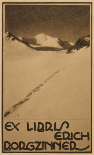 Exlibris by ? Unbekannt from Unknown for Erich Borgzinner - Scenery/Landscape 