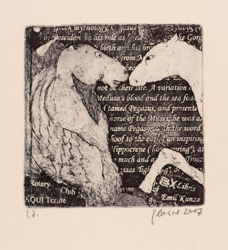 Exlibris by Irina Yelagina from Russia for Dr. Emil Kunze - Horse Text/Writing 