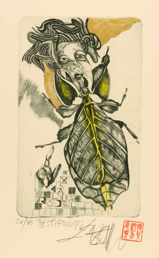 Exlibris by Leo Bednarik from Slovak Republic for Klaus Rödel - Fauna Insect Woman Portrait 