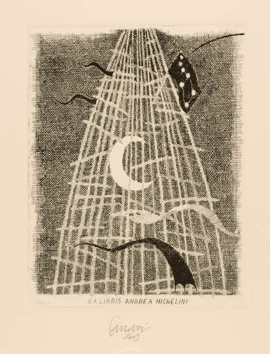 Exlibris by Lanfranco Lanari from Italy for Andrea Michelini - Abstract 