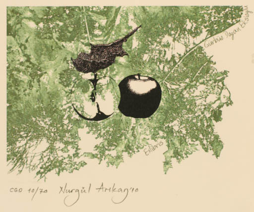 Exlibris by Nurgül Arikan from Turkey for Gürbüz Dogan Eksioglu - Fruit 