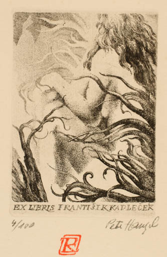 Exlibris by Petr Hampl from Czech Republic for Frantisik Kadlecek - Woman 