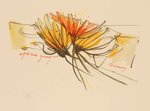 Exlibris by Martin R. Baeyens from Belgium for ? ? - Flower 