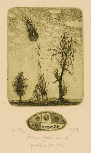 Exlibris by Zdenek Bugan from Slovak Republic for ? Hedviga - Surrealism Tree 