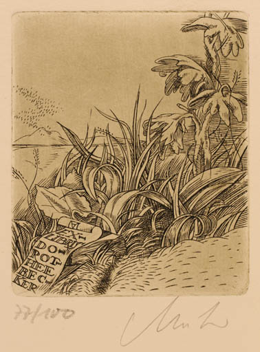 Exlibris by Arpad Müller from Hungary for Dorot Heebecker - Flora Scenery/Landscape 