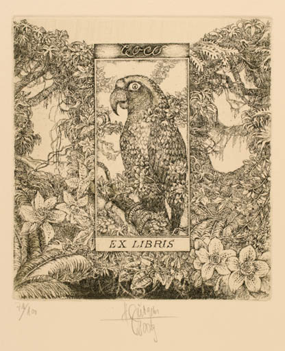 Exlibris by Harry Jürgens from Germany for COCO ? - Flower Flora Bird 