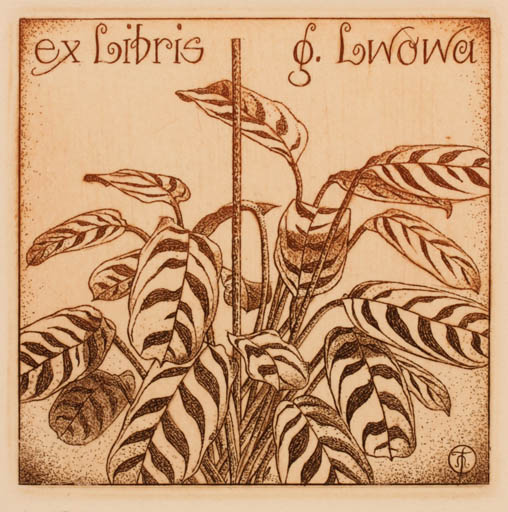 Exlibris by Galina Lwowa from Belorussia for Galina Lwowa - Flower 