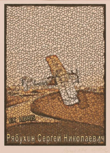 Exlibris by Agnieszka Lipska from Poland for ? ? - Aircraft 