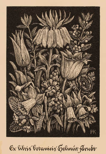 Exlibris by Philomena Koch from Germany for Helmut Arndt - Flower Flora 