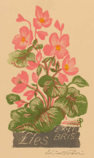 Exlibris by Edmund Peter from Denmark for Elisabeth Peter - Flower Flora 