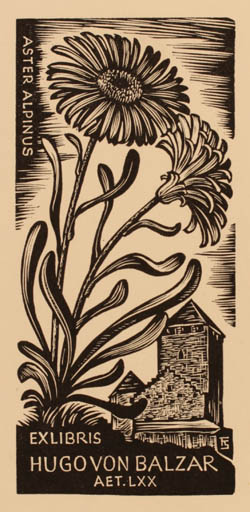 Exlibris by Franz Stummvoll from Austria for Hugo Von Balzar - Flower Flora 