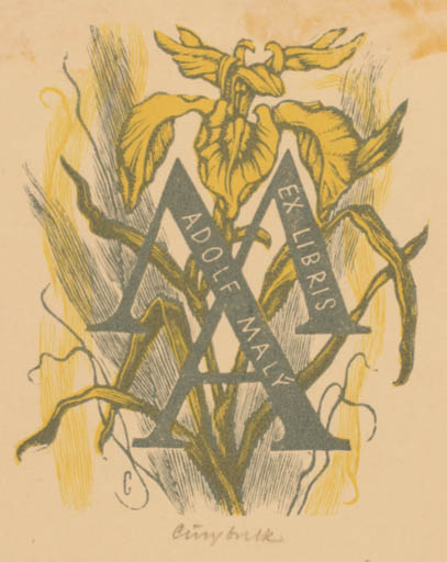 Exlibris by Vojtech Cinybulk from Czechoslovakia for Adolf Maly - Flower Flora 