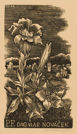 Exlibris by Antonin Dolezal from Czechoslovakia for Dagmar Novacek - Flower Flora 