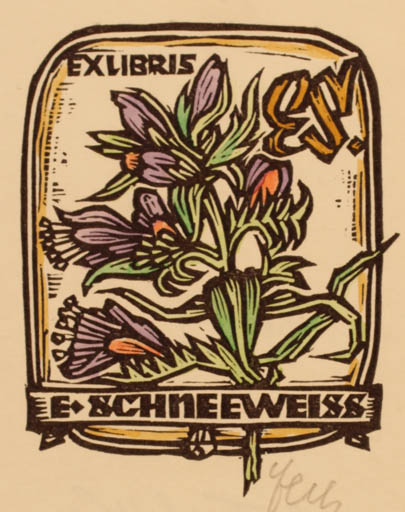 Exlibris by Otto Feil from Austria for Emmerik Schneeweisz - Flower Flora 