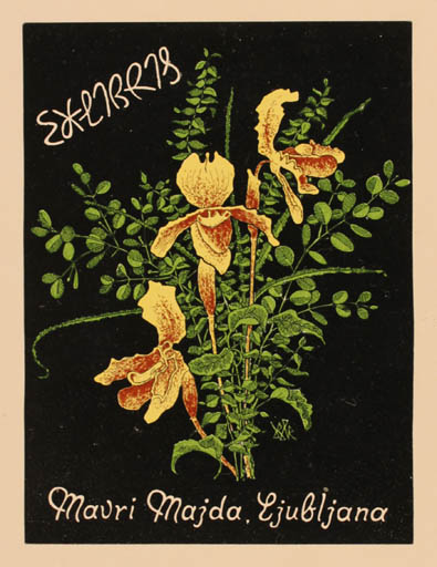 Exlibris by Bernhard Kuhlmann from Germany for Mavri Majda Ljubljana - Flower Flora 