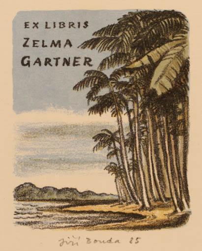 Exlibris by Jiri Bouda from Czech Republic for Zelma Maureen Gartner - Scenery/Landscape Palm tree 