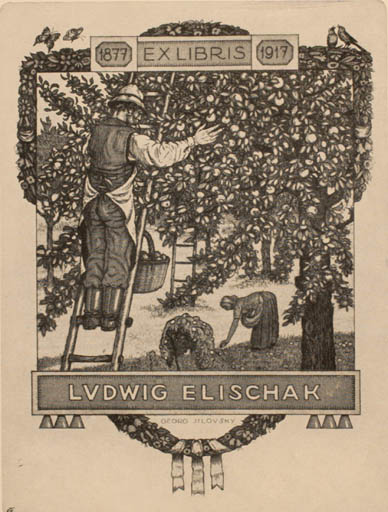 Exlibris by Georg Jilovsky from Czech Republic for Ludwig Elischak - Working Flora Fruit 