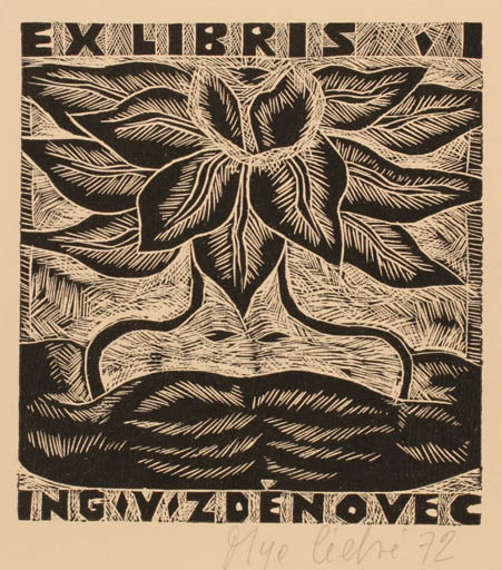 Exlibris by Olga Cechova from Czechoslovakia for Ing. Vladimir Zdenovec - Flower 