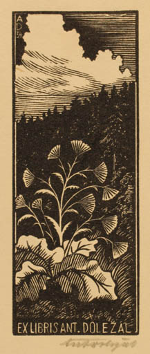 Exlibris by Antonin Dolezal from Czechoslovakia for Antonin Dolezal - Flora Scenery/Landscape Forest 