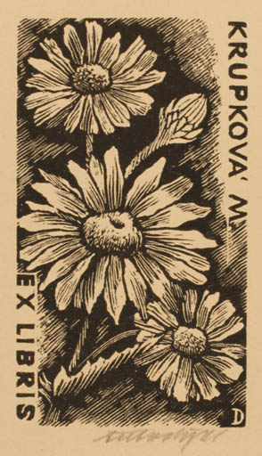 Exlibris by Antonin Dolezal from Czechoslovakia for M Krupková - Flower Flora 