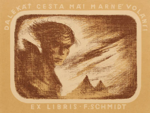 Exlibris by Jaroslav Lukavsky from Czech Republic for F Scmidt - Scenery/Landscape Man 