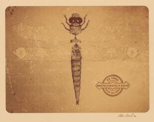 Exlibris by Aleksandra Hachula from Poland for W. Meiznie Biblioteki Publicznej - Insect 