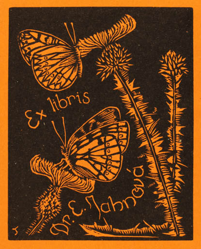 Exlibris by Jiri Slavik from Czechoslovakia for Dr. Erba Jahnova - Flora Butterfly 