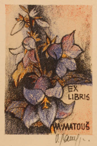 Exlibris by Vladimir jun Savel from Czech Republic for Miroslav Matous - Flower Flora 