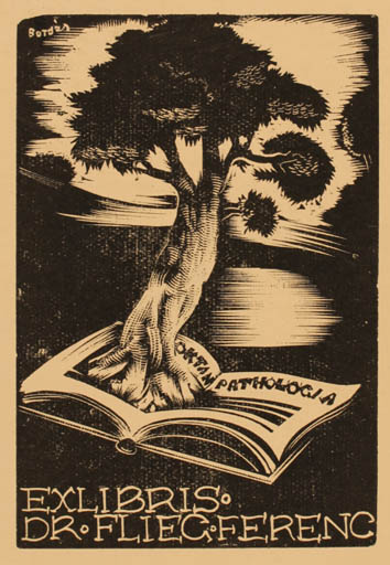 Exlibris by Ferenc Bordás from Hungary for ? Flieg Ferenc - Book Tree 