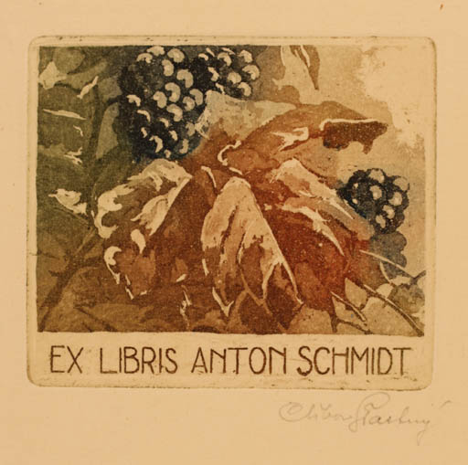 Exlibris by Ctibor Stastny from Czech Republic for Anton Schmidt - Wine 