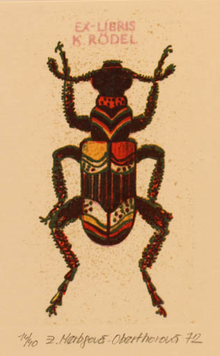 Exlibris by Zuzana Oberthorova from Czech Republic for Klaus Rödel - Insect 