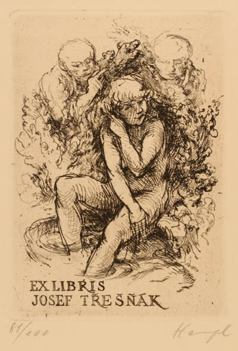 Exlibris by Petr Hampl from Czech Republic for Josef Tresnak - Woman Nude 