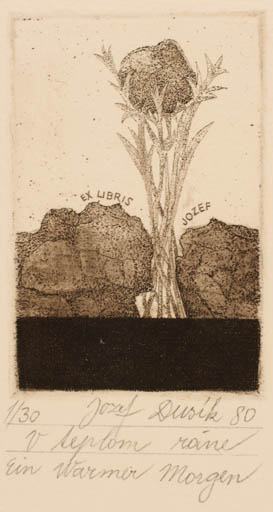 Exlibris by Jozef Dusik from Czech Republic for ? Jozef - Flora 