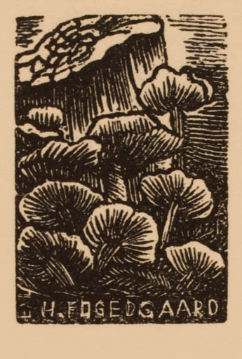 Exlibris by Antonin Dolezal from Czechoslovakia for Helmer Fogedgaard - Flora 