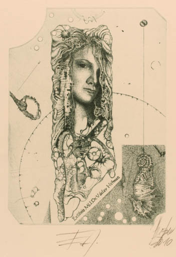 Exlibris by Günter Hujber from Czech Republic for Dr. Vaclav Herman - Fauna Woman Surrealism 