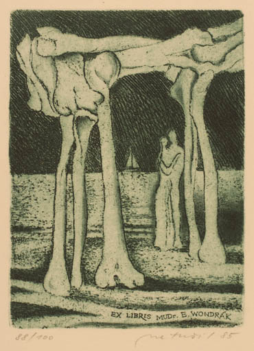 Exlibris by Lubomir Netusil from Czech Republic for Dr. Eduard Wondrak - Death Couple 