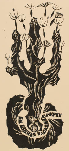 Exlibris by Anna Grmelova from Czech Republic for Vaclav Krupka - Abstract Tree 