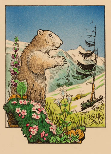 Exlibris by Werner Pfeiler from Austria for ? ? - Mountain Fauna 