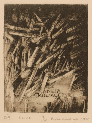 Exlibris by Aneta Kowalczyk from Poland for Aneta Kowalczyk - Abstract 