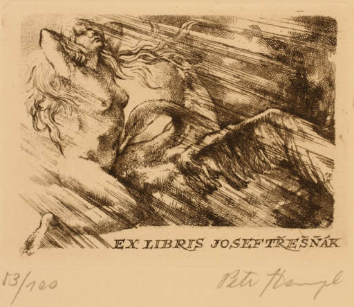 Exlibris by Petr Hampl from Czech Republic for Josef Tresnak - Leda and the Swan Mythology 