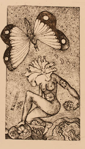 Exlibris by Ab. Steenvoorden from Netherland for ? ? - Surrealism 