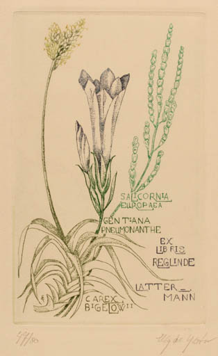 Exlibris by Elly de Koster from Netherland for Reglinde Lattermann - Flower 