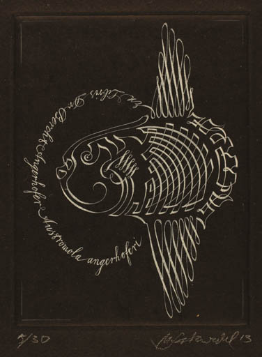 Exlibris by Norbert Salzwedel from Germany for Bercht Angerhofer - Fish 