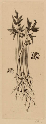 Exlibris by Wojciech Jakubowski from Poland for Vera Krupkova - Flora 