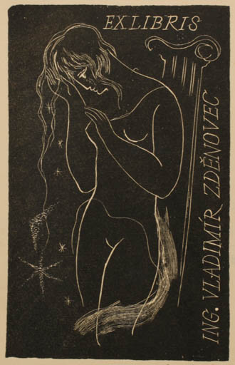 Exlibris by Rastislav Michal from Czech Republic for Ing. Vladimir Zdenovec - Woman Nude 