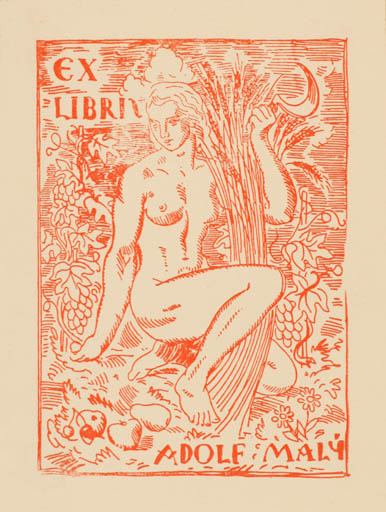 Exlibris by M. Novy from Czech Republic for Adolf Maly - Flora Woman 