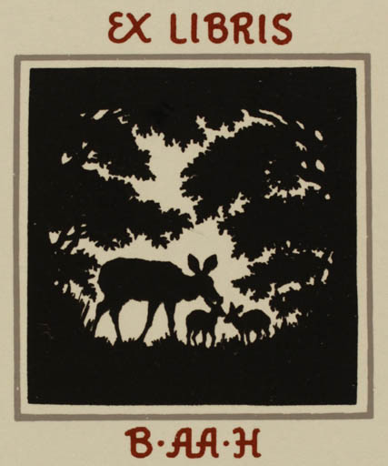 Exlibris by Inge Faurtoft from Denmark for Birgit Aagaard Hansen - Fauna Forest 