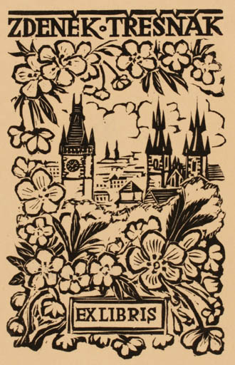 Exlibris by Michal Florian from Czech Republic for Zdenek Tresnak - Flower City 