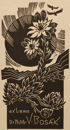 Exlibris by Ladislav Rusek from Czech Republic for Dr. Vincenc Bosak - Flower Flora Scenery/Landscape Sun 