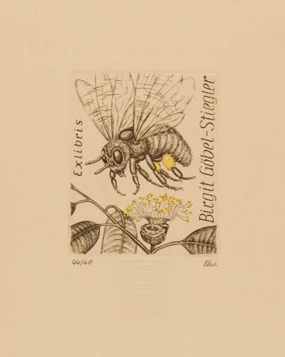 Exlibris by Rolf Fleischmann from Germany for Birgit Göbel-Stiegler - Insect 